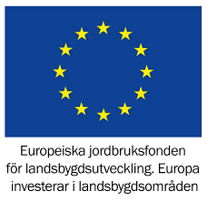 Medfinansiersd av Europeiska unionen