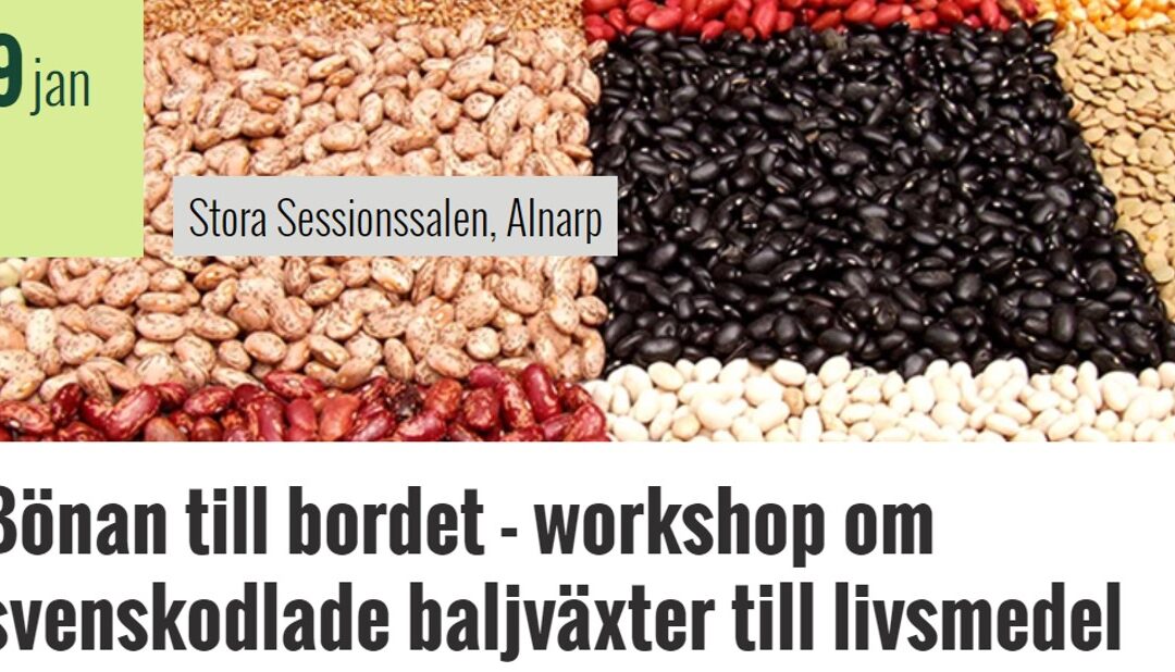 Workshop – hur får vi bönan till bordet?